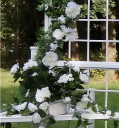 white-detail-pic-02.png