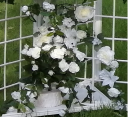 white-detail-pic-03.png