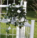 white-detail-pic-06.png