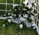 white-detail-pic-07.png