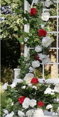 red-detail-pic-04.png