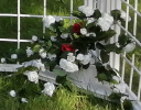 red-detail-pic-03.png