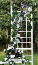 mixed-detail-pic-01.png
