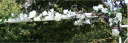 mixed-detail-pic-04.png